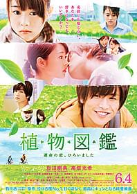 「植物図鑑 運命の恋、ひろいました」 のポスタービジュアル